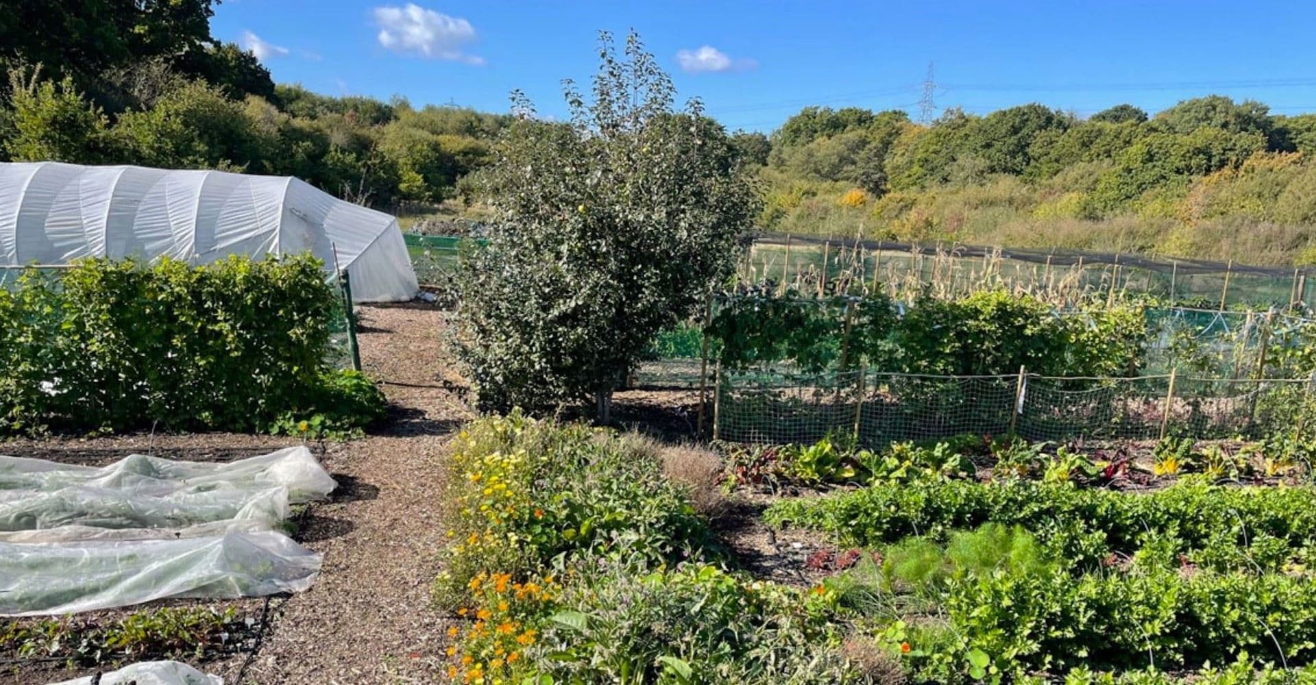 Padswood Farm