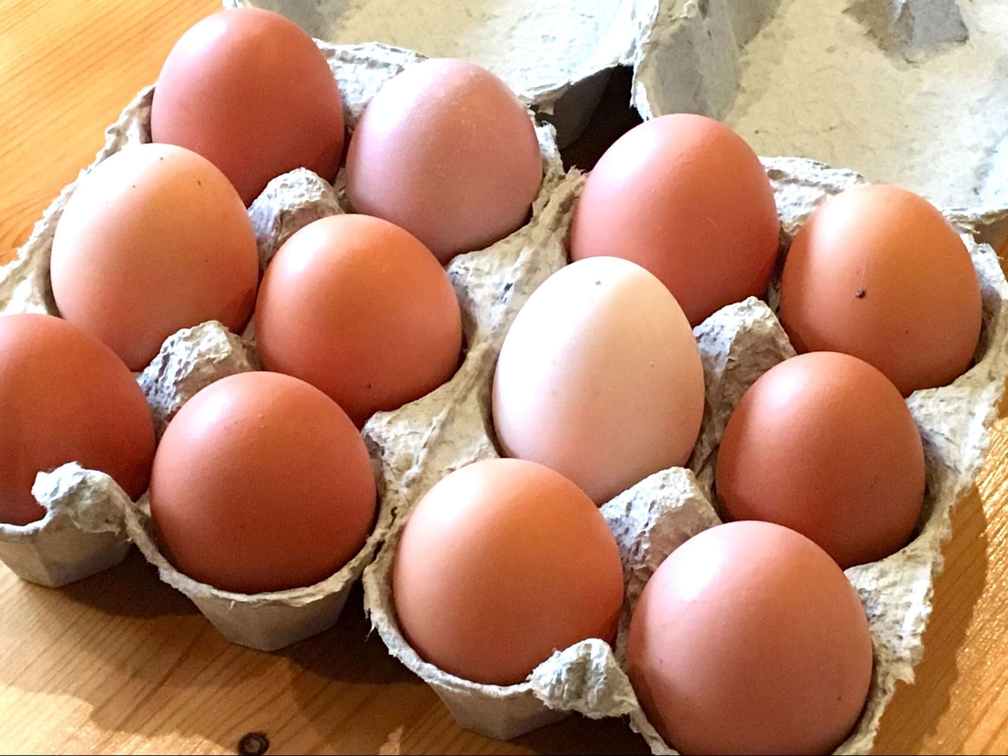 Free Range Eggs x 6